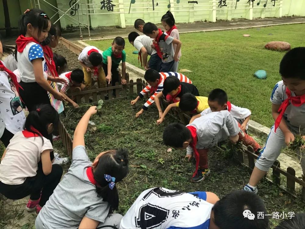 ——西一路小学种植园劳动实践基地