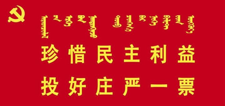 东胜有多少人口_七人普东胜区精心组织做好比对复查工作