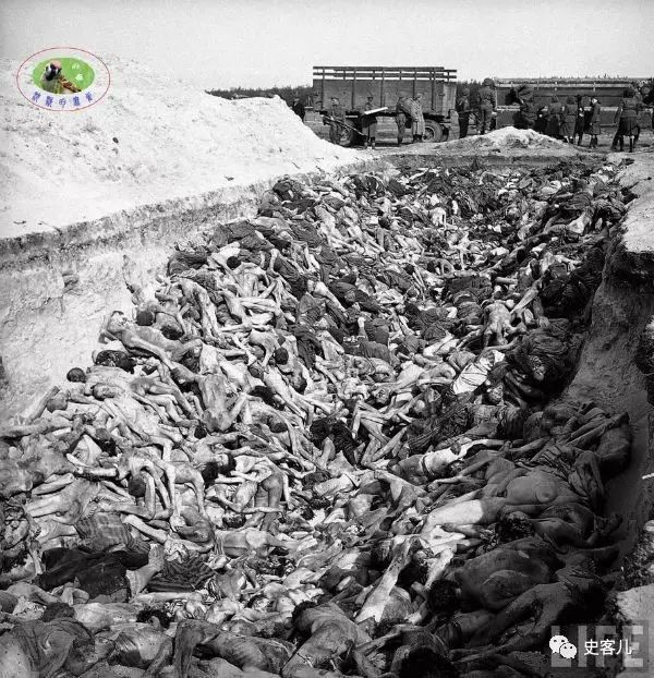 德国平民被迫埋葬在gardelegen的集中营遇难者(地点:gardelegen,德国