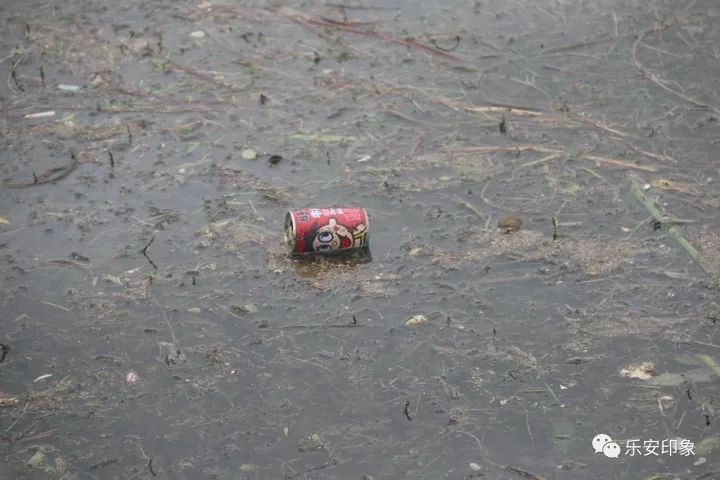 广饶孙武湖的眼泪