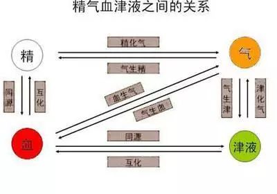 气血运行(传统运动养生连载10)