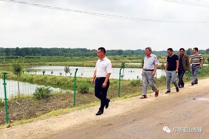 【一线传真】新泰市西张庄镇:把河滩地变成聚宝盆