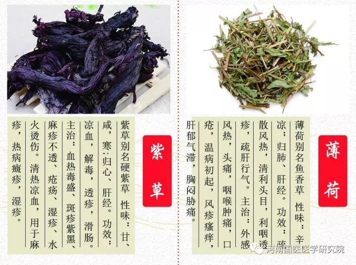 紫草的作用,你知道吗?