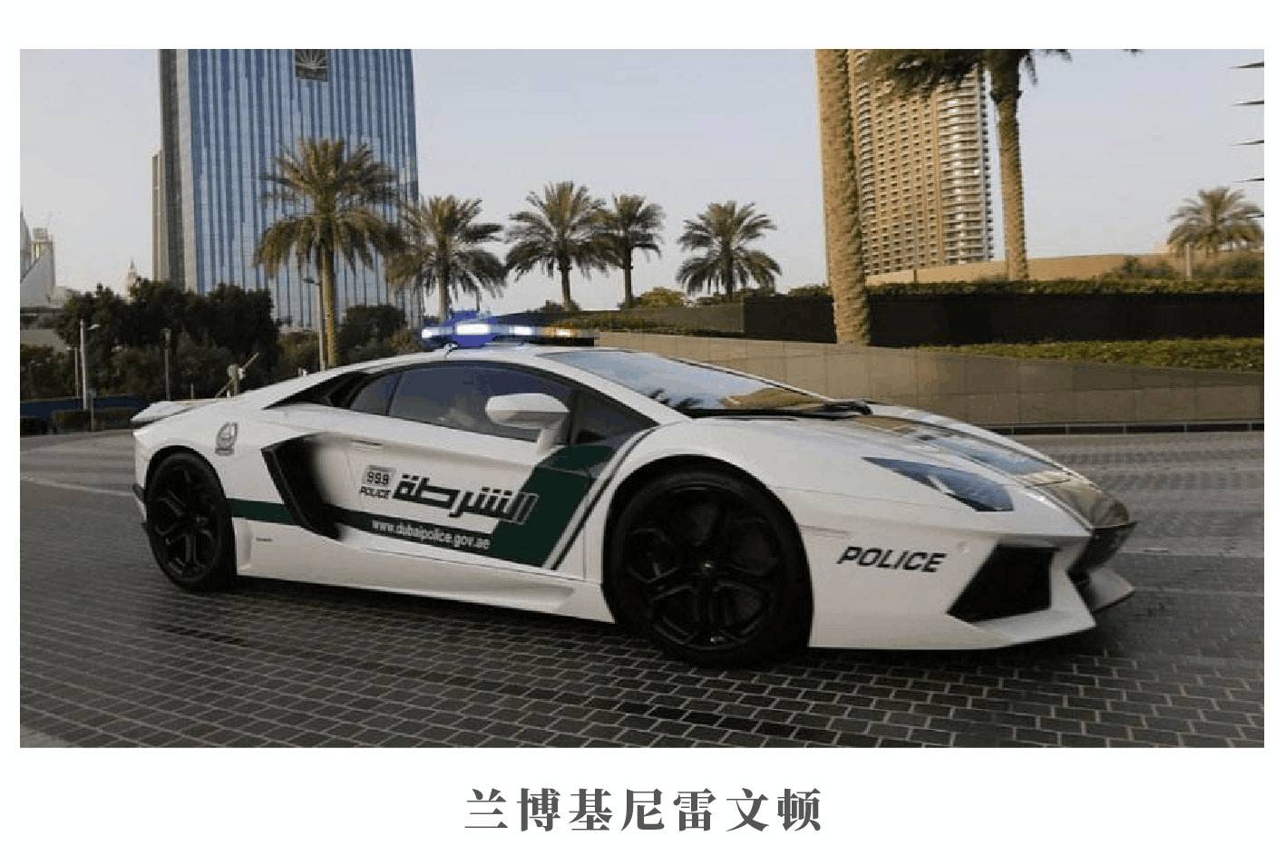 世界各国警车集锦,布加迪,兰博基尼也当警车?