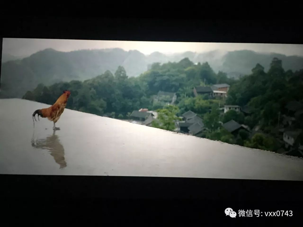 电影《十八洞村》今天上映,什么?你还不晓得?来听听湘西人的观后感!