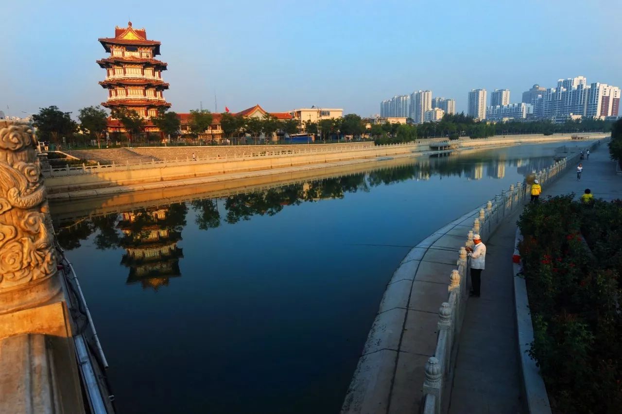 惠民菜市场"最美菜市场 四合菜市场"好人之城 美丽沧州—最美人物