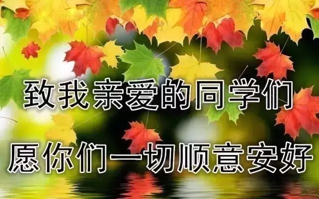 在这美好的时光里 送上一句真诚的祝福 愿老同学健康相伴 快乐相随