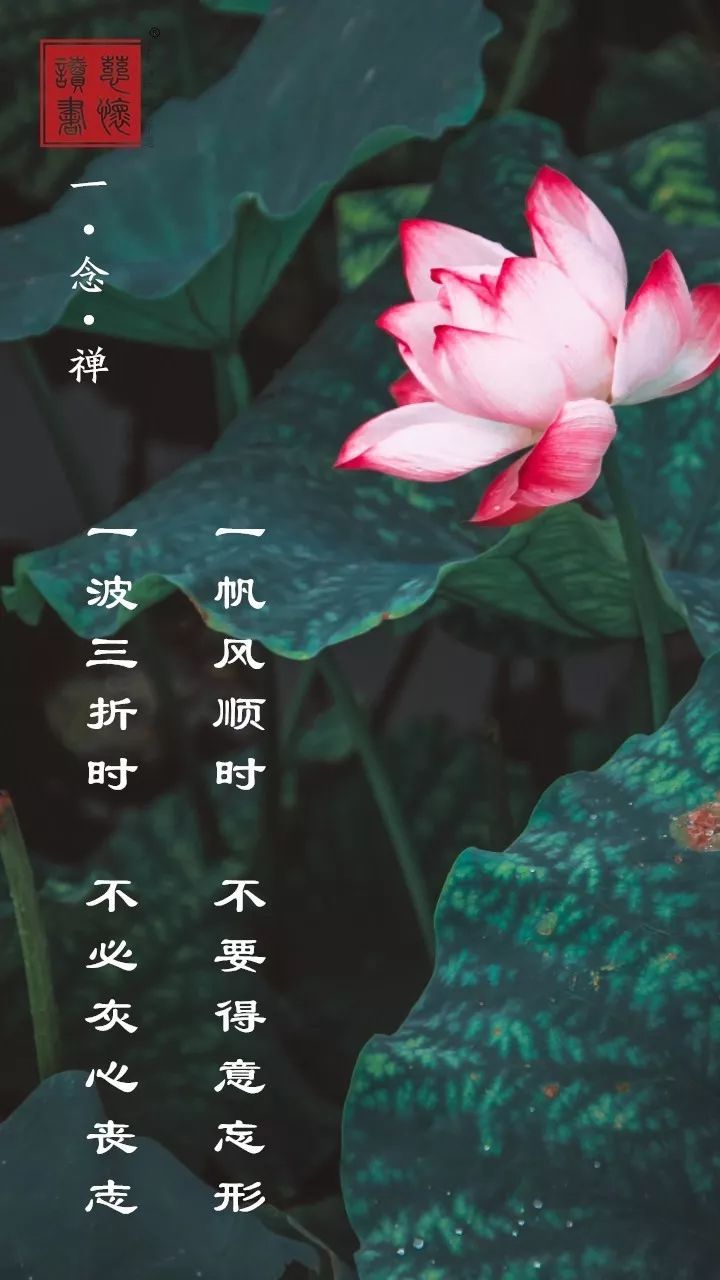 一念禅丨一帆风顺时,不要得意忘形;一波三折时,不必