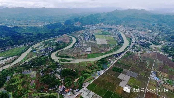 【产业扶贫】塘头镇又建200亩绿色产业基地 助力生态扶贫