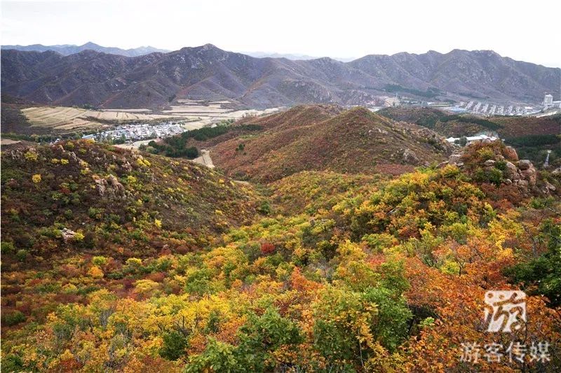 辽宁赏枫进行时朝阳大黑山