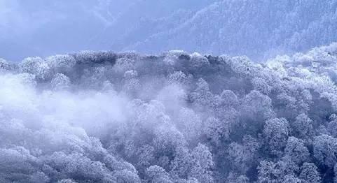 贵州冬季旅游必去的7大美景和美食,实在是惊艳!