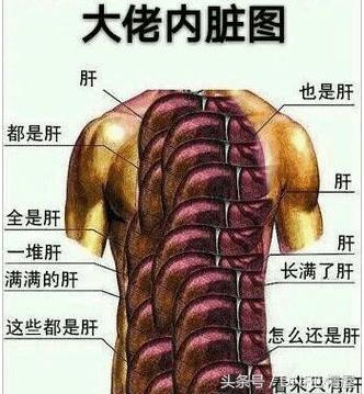 dnf肝帝8天通关1600次地下城冒险团等级达到25