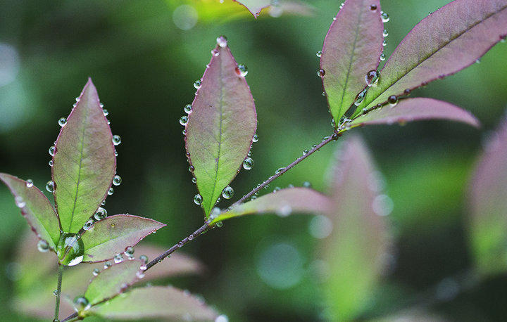 秋天的雨