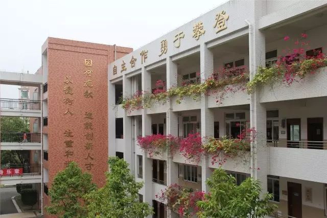 中山市纪中三鑫凯茵学校就坐落在这座城市的东部.