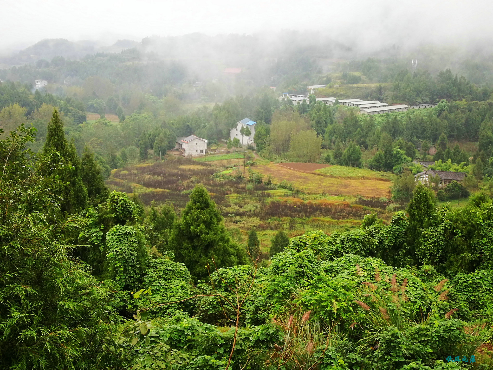 南河汇流后的阆中,来到了南充市南部县东北兴盛镇的一个小山村吴家拐