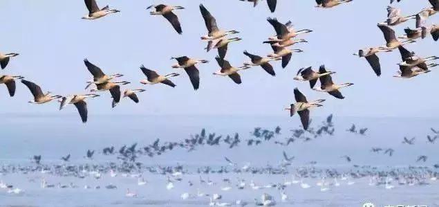 鄱阳湖生态经济区经济总量_鄱阳湖风景图片