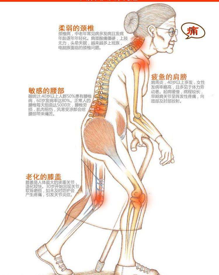 奇异果体育运动的十大作用(图4)