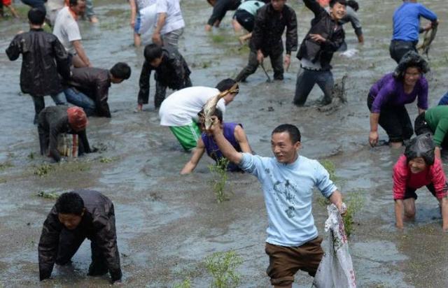 大战乡村人口_乡村人口向城市迁移(3)