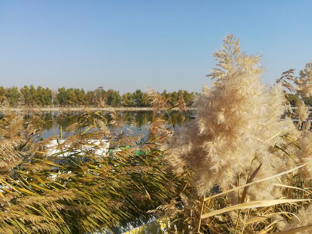 乌鲁木齐周边旅游之良心景区五家渠青格达湖