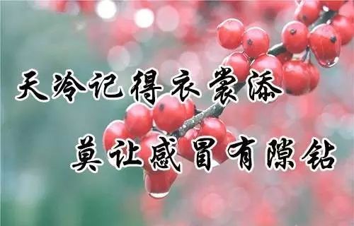 天冷了给你送上最温暖的祝福图片