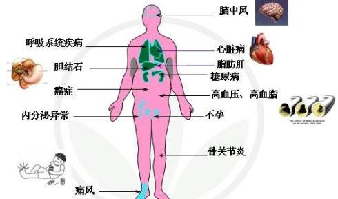 奇异果体育运动的十大作用(图8)