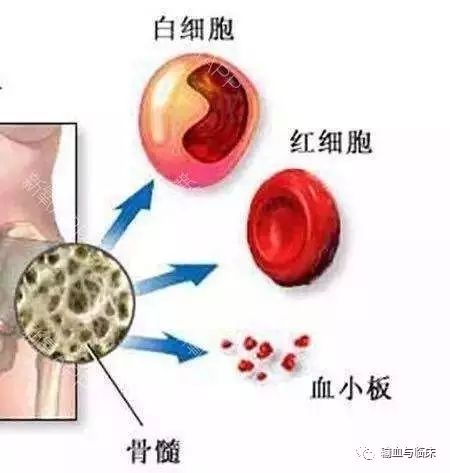 奇异果体育运动的十大作用(图9)