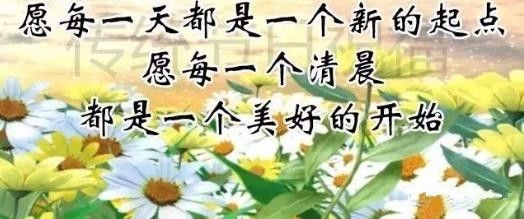 早上好!为您点播了一首歌,送给我牵挂的你,天冷了,早晚添衣!