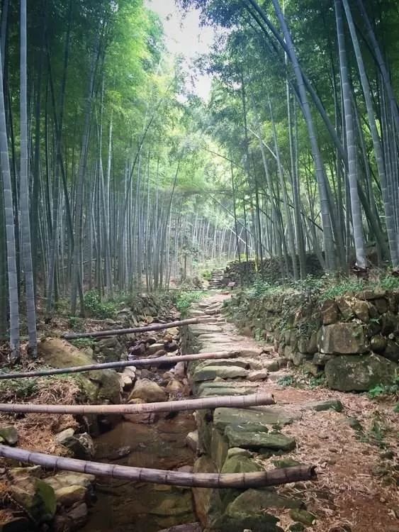 10.21周六|穿越绍兴上青古道,探秘倩女幽魂真假兰若寺