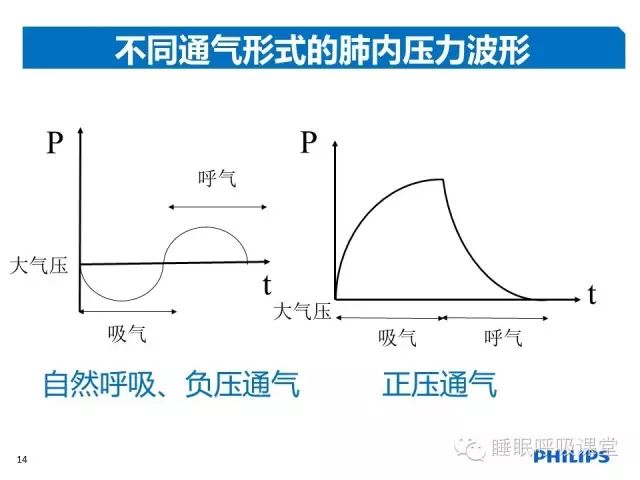 潮式呼吸发生的原理是什么_什么是腹式呼吸图解