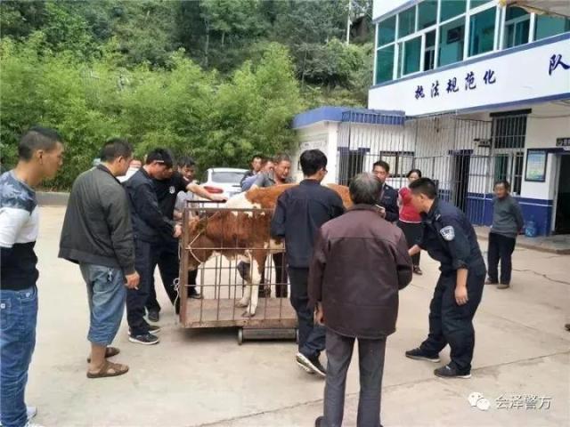 老厂乡人口_会泽县老厂乡雨中抢险及时到位(3)