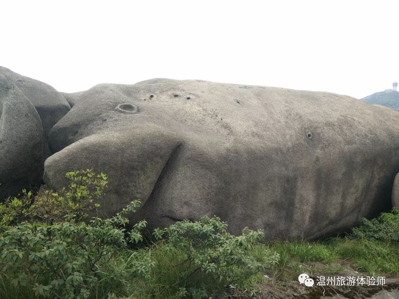 大罗山穿越(茶山-山鸡坑-海豚石-白水千步梯)