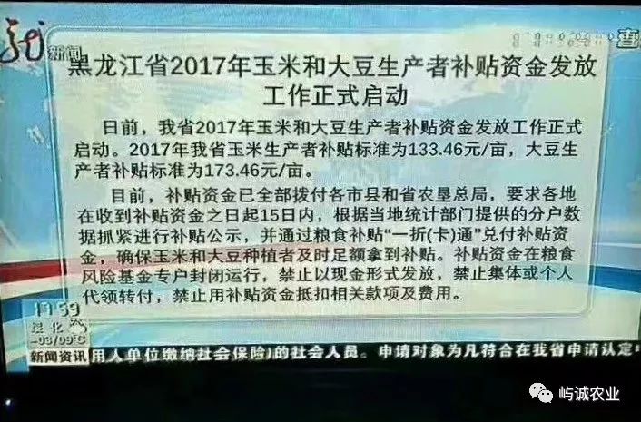 2017年生产者补贴玉米133.46元/亩,大豆173.