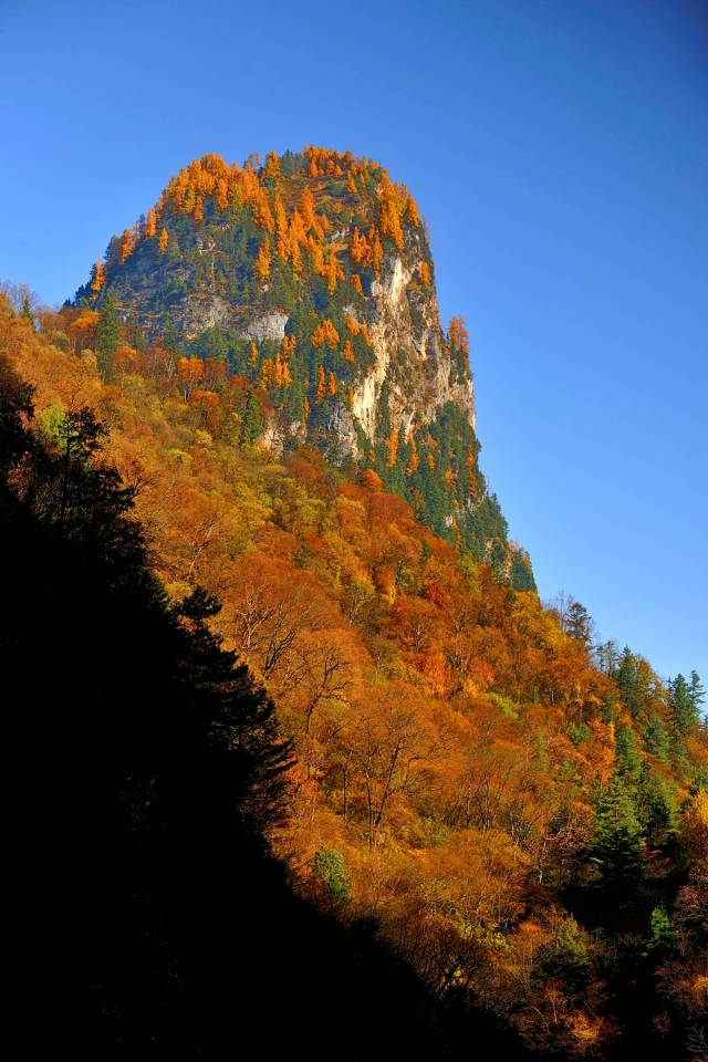 黄土高坡上竟有森林草原|秋色大赏