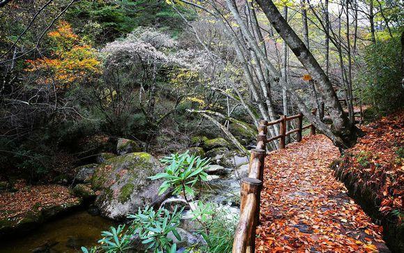 【三国圣地 美丽勉县】美不胜收,勉县云雾寺秋日小景