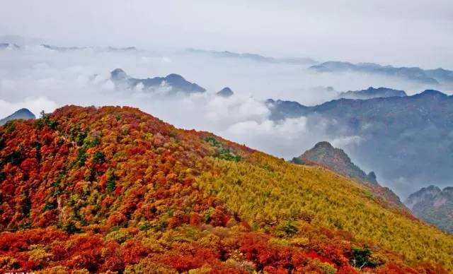 依托华北地区唯一保存最完整的原始森林——历山原始森林