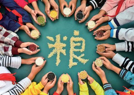今天世界粮食日,中国超级杂交稻亩产量又创全球新纪录