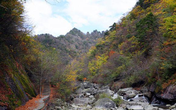 【三国圣地 美丽勉县】美不胜收,勉县云雾寺秋日小景