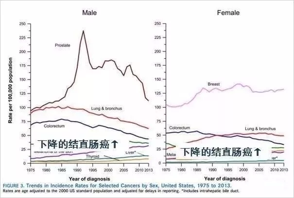 美国人口死亡率_美国的人口死亡率(2)