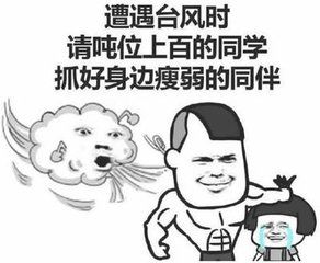 一整天了 风都在耳边"呼呼呼" 狠狠地刮,削,吹…… 不是开玩笑 像小