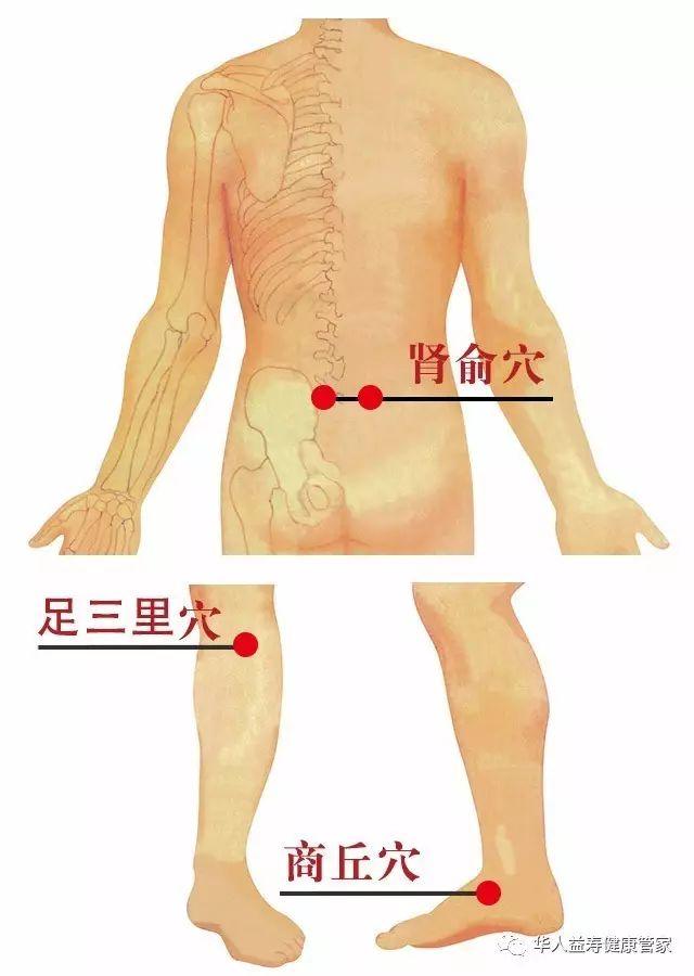 【脾俞穴】在背部,第11胸椎棘突下,旁 11.5寸.