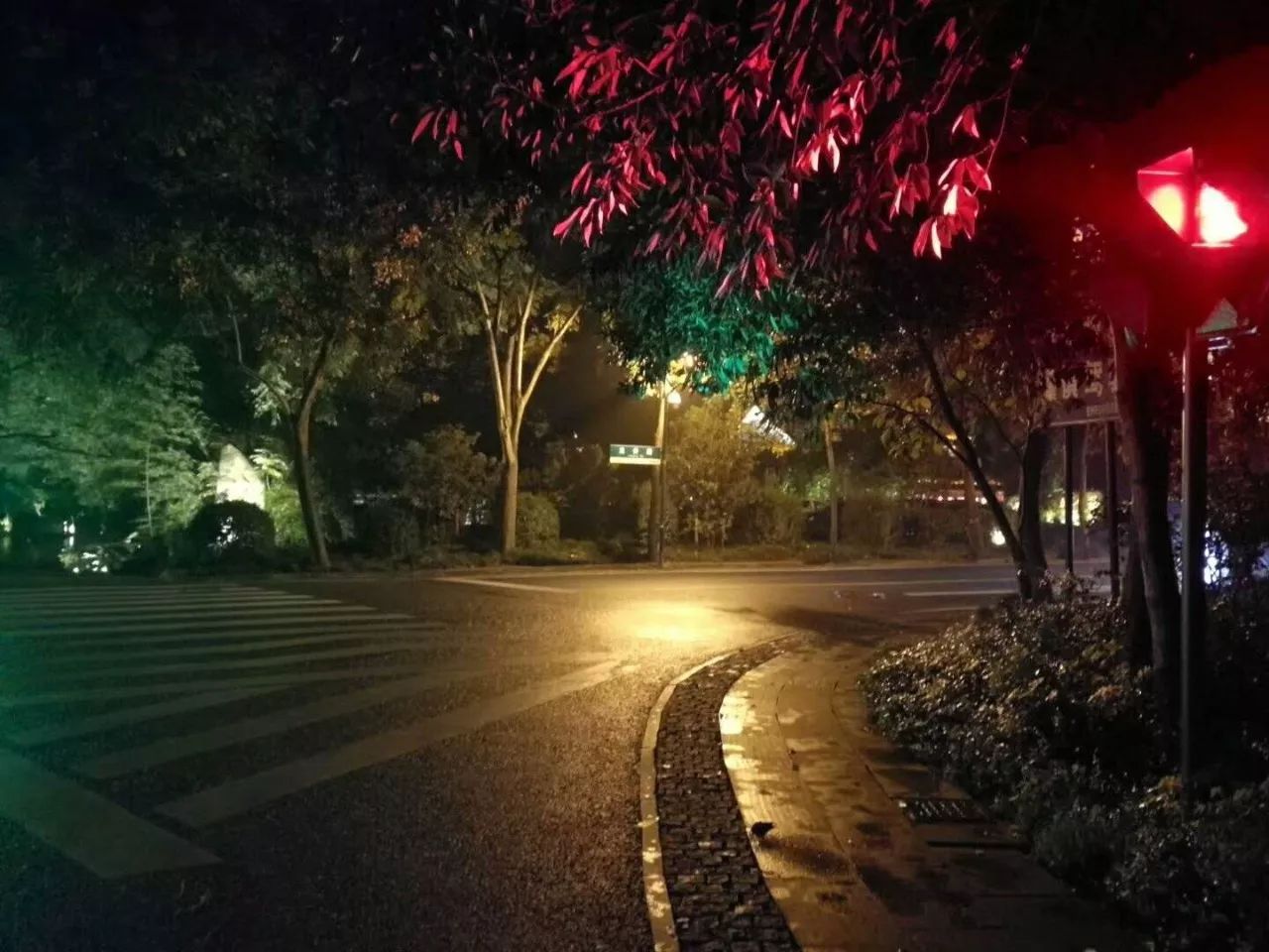 夜骑| 单飞的18岁秋天雨夜还有小白默默陪伴