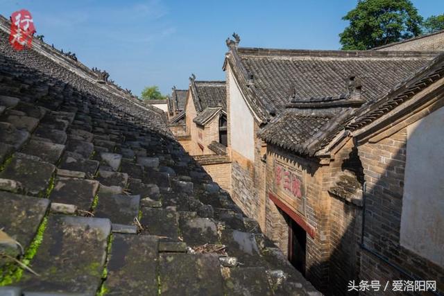 魏家坡:一个看门老汉和他的魏姓家族,见证洛阳城400年跌宕历史!