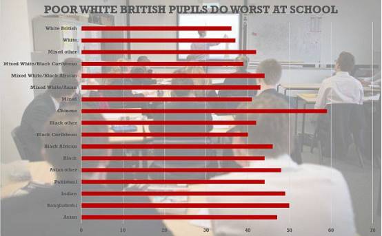 英国少数族裔人口比例_英国没有人口(3)