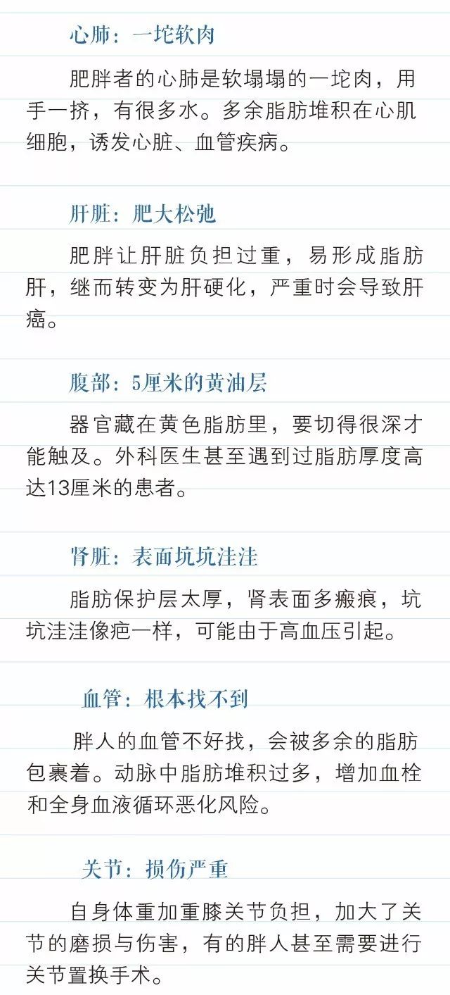 肥胖人口数量增多_目前肥胖人口现状统计(2)