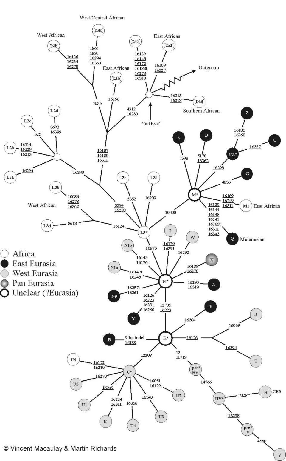 鲜卑人口DNA_鲜卑人(2)