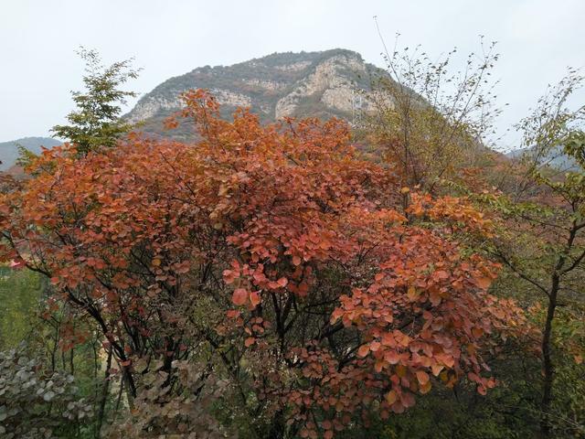 红岩岭自然风景区位于山西省平定县