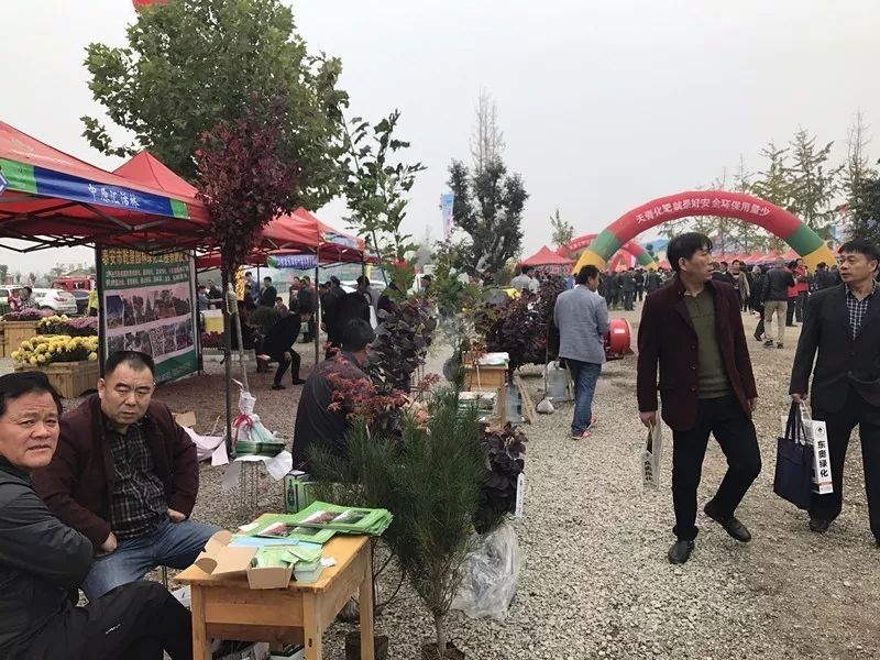 今天,苗交盛会开幕!首次移师泰山国际花木城,已有商户成交400万大单!