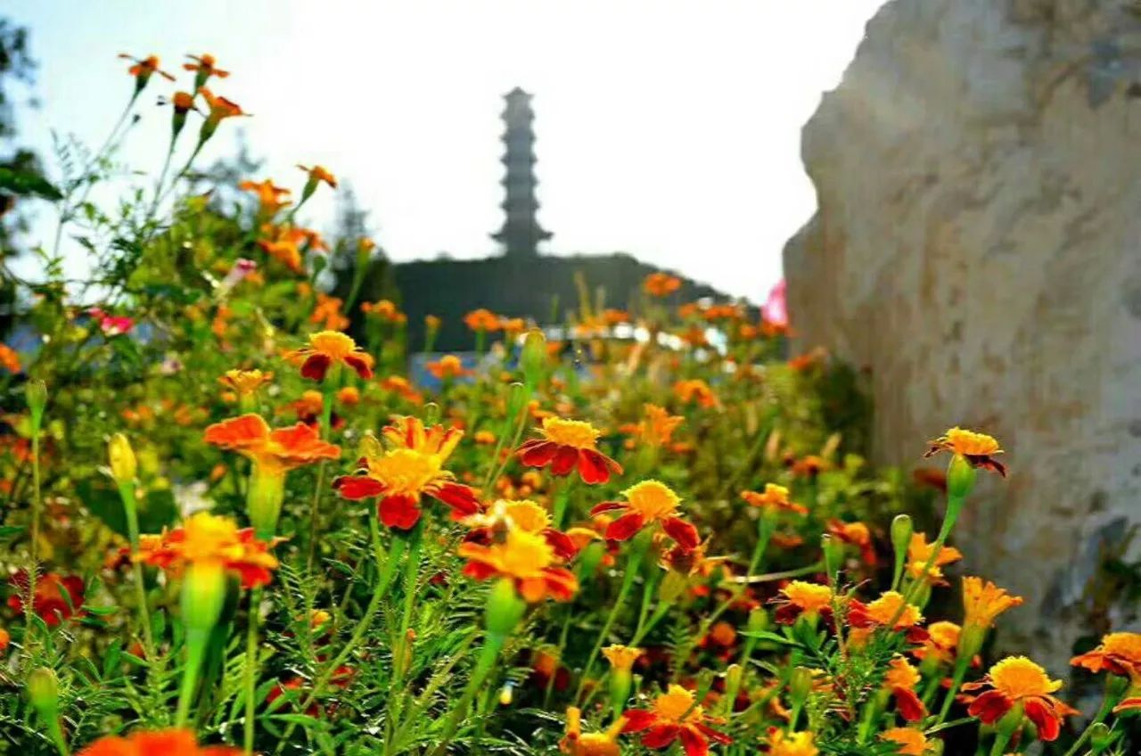 要做就做最美景区!文明城市下花园!秋季旅游新