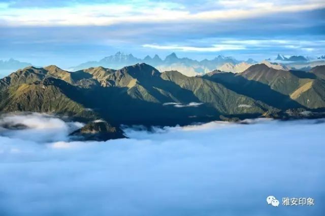 高山多少人口_织金县有多少人口