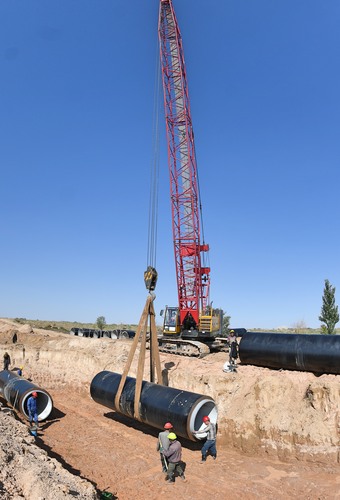 林树成功移栽…据宁夏水利工程建设管理局副局长蒋昊良介绍